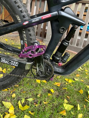 Used Canyon Strive CF 2019 Mountainbike, Black — image 6 of 11