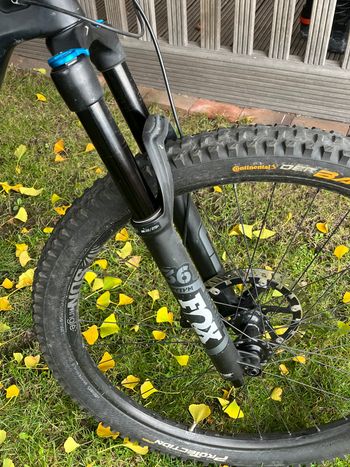 Used Canyon Strive CF 2019 Mountainbike, Black — image 7 of 11