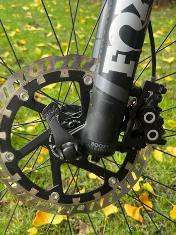 Used Canyon Strive CF 2019 Mountainbike, Black — image 2 of 11