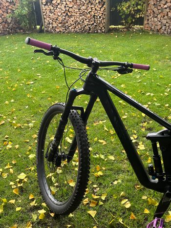 Used Canyon Strive CF 2019 Mountainbike, Black — image 4 of 11