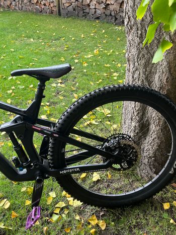 Used Canyon Strive CF 2019 MTB