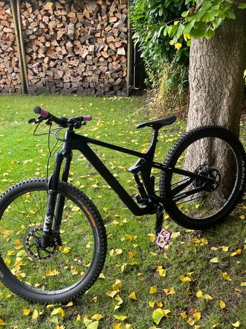 Used Canyon Strive CF 2019 Mountainbike, Black — image 11 of 11