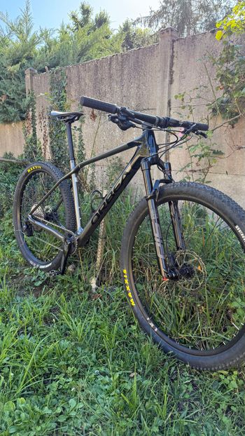 Used Orbea ALMA M50 2022 2022 MTB
