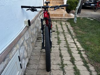 Used Canyon Exceed CF 7 2021 2021 Mountainbike, Red, 29 — image 5 of 7