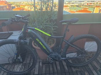 Used Cicli Adriatica Rayon 2024 MTB