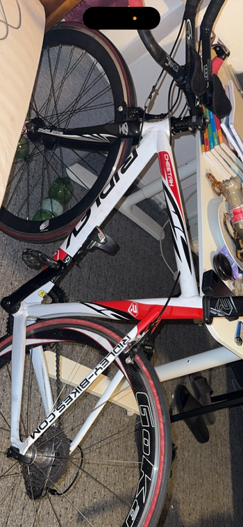 Used Cheetah 2012 2012 Road & Gravel