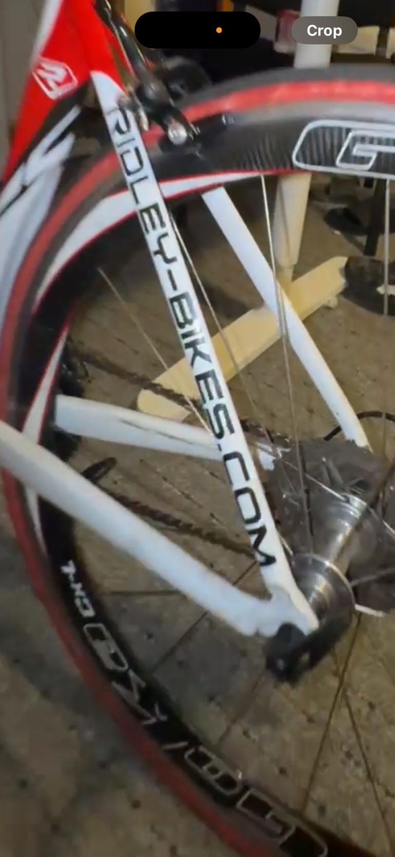 Used Cheetah 2012 2012 Road & Gravel, White — image 3 of 5