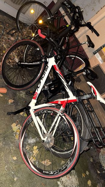 Used Cheetah 2012 2012 Road & Gravel, White — image 2 of 5