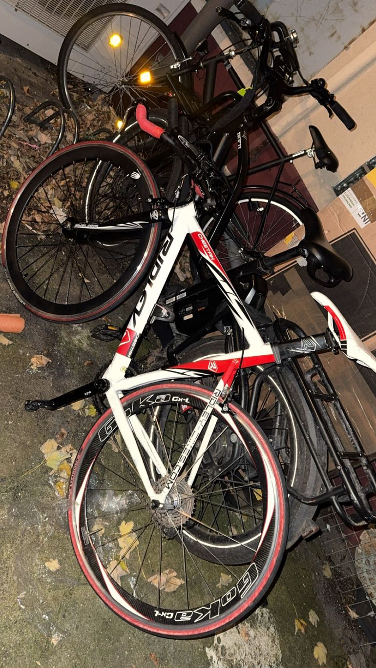 Used Cheetah 2012 2012 Road & Gravel, White — image 2 of 5