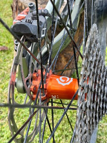 Used Pivot FIREBIRD Pro X0 Eagle Transmission 2024 2024 Mountainbike, Green, 29 — image 2 of 11