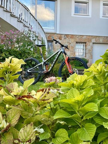 Used Pivot FIREBIRD Pro X0 Eagle Transmission 2024 2024 Mountainbike, Green, 29 — image 11 of 11