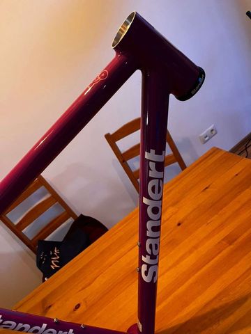 Brugt Standert Kreissäge RS Team 2024 Frameset 2024 Road & Gravel — billede 3 af 3