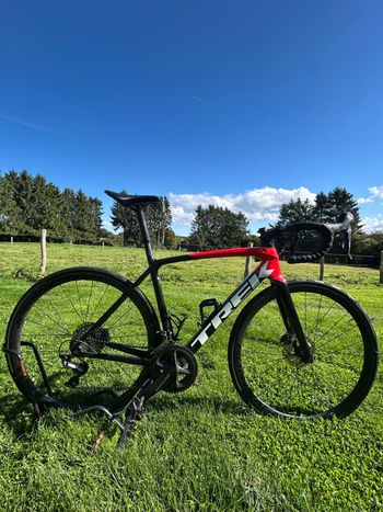 Used Trek Émonda SL 6 Disc 2022 2022 Road & Gravel