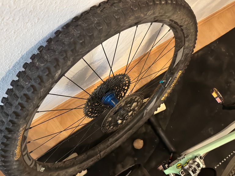 Used Canyon Strive SRAM GX Eagle AXS 2021 Mountainbike, Green — image 3 of 7