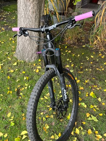 Used Canyon Strive Cf 5. 2019 Mountainbike, Black — image 4 of 11