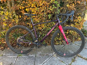 Used Bergamont Grandurance 6 FMN 2024 2024 Road & Gravel