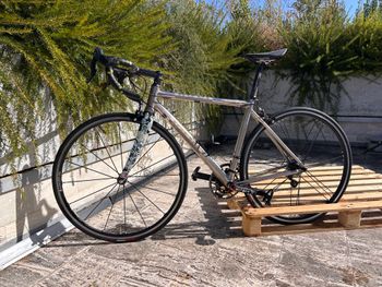Used NO-LOGO Stelvio 2015 Road & Gravel, Light Gray — image 2 of 9
