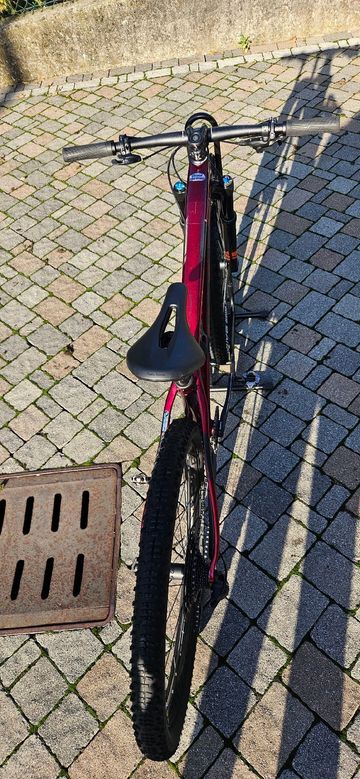 Used Trek Procaliber SRAM GX Eagle 2021 Mountainbike, Red — image 10 of 22