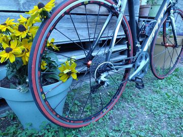 Used Scott CR1 10 2017 2017 Road & Gravel, Black — image 2 of 5