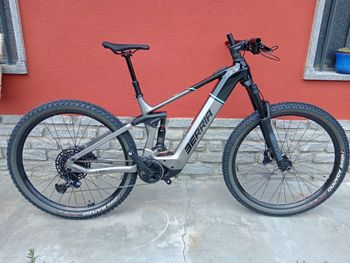 Berria, CAYMAN ELITE NX 2024