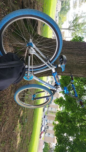 Used SE BIKES Big Ripper 2022 Road & Gravel, Light Gray — image 3 of 4
