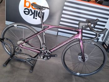 Used Lapierre Xelius 5.0 2024 Road & Gravel