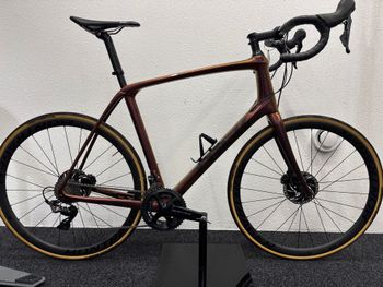 Used Trek Domane SLR 8 Disc 2019 2019 Road & Gravel