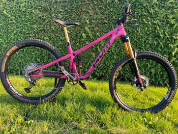 Used Pivot SHADOWCAT Pro XT/XTR 2023 2023 Mountainbike, Purple, 27.5 (650B) — image 4 of 8