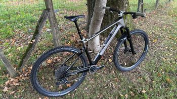 Used Focus RAVEN 8.9 2023 2023 MTB