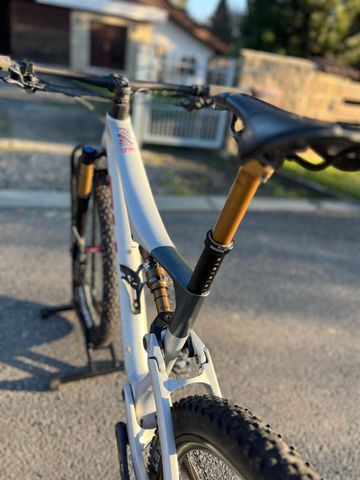 Used BH LYNX RACE 8.5 2024 2024 Mountainbike, Light Gray, 29 — image 7 of 9
