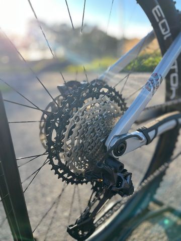 Used BH LYNX RACE 8.5 2024 2024 Mountainbike, Light Gray, 29 — image 5 of 9