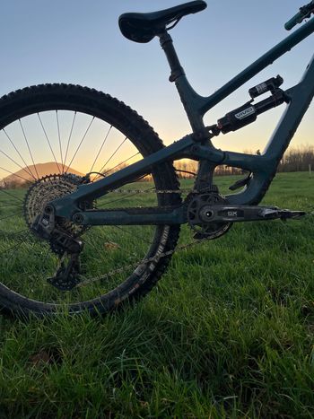 Used YT Industries Capra CORE 4 29 2024 2024 Mountainbike, Blue, 29 — image 3 of 3
