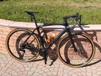 Trek, Domane SL 6 Gen 4 2025