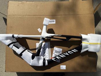 Used Canyon Lux CF 2025 Frameset 2025 MTB