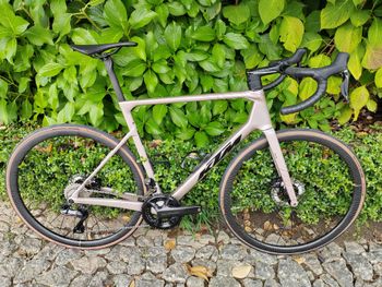 KTM, Revelator Alto Master 2025