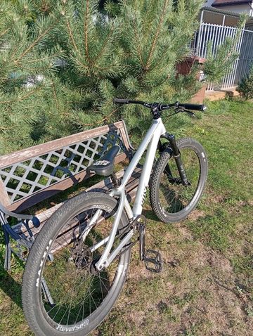Used Rose THE BRUCE 2 2023 2023 Mountainbike, Light Gray, 26 — image 6 of 7