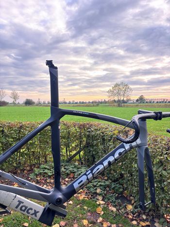 Used Bianchi Oltre XR4 - Ultegra Di2 2022 Frameset 2022 Road & Gravel