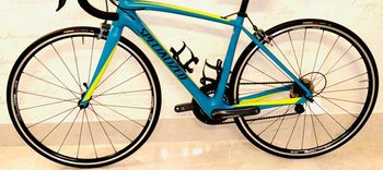 Used Specialized Amira Comp 2017 2017 Road & Gravel, Green — image 17 of 19