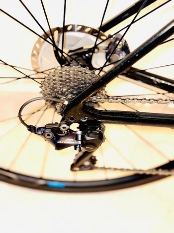 Used Specialized Roubaix Comp 2020 2020 Road & Gravel, Green — image 13 of 14