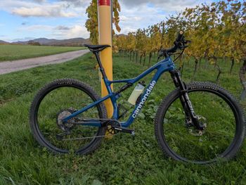 Used Cannondale Scalpel Carbon SE 1 2022 2022 MTB
