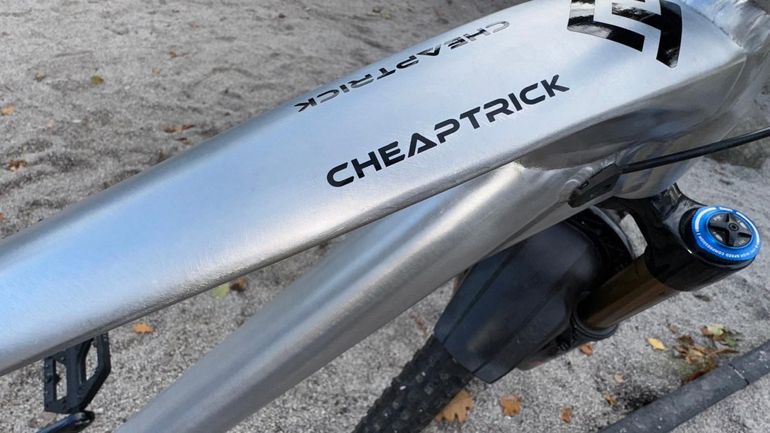 Used Alutech CheapTrick SRAM GX Eagle 2021 Mountainbike, Light Gray — image 7 of 14