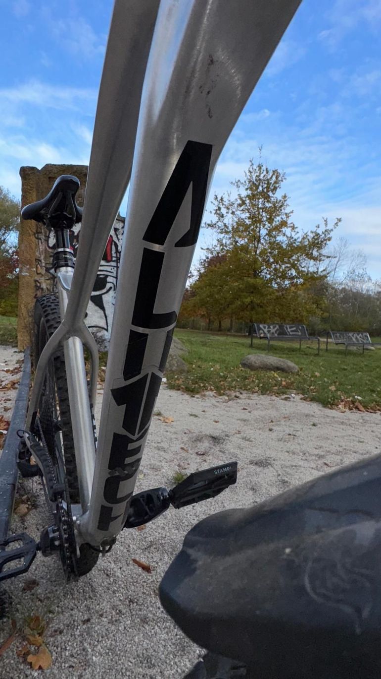 Used Alutech CheapTrick SRAM GX Eagle 2021 Mountainbike, Light Gray — image 8 of 14