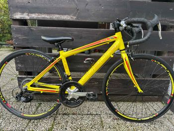 Used Independent Fabrication Vuelta Elite 2015 Road & Gravel, Orange — image 3 of 6