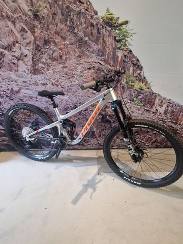 Used Pivot FIREBIRD Ride SLX/XT 2024 2024 Mountainbike, Light Gray, 29 — image 1 of 7
