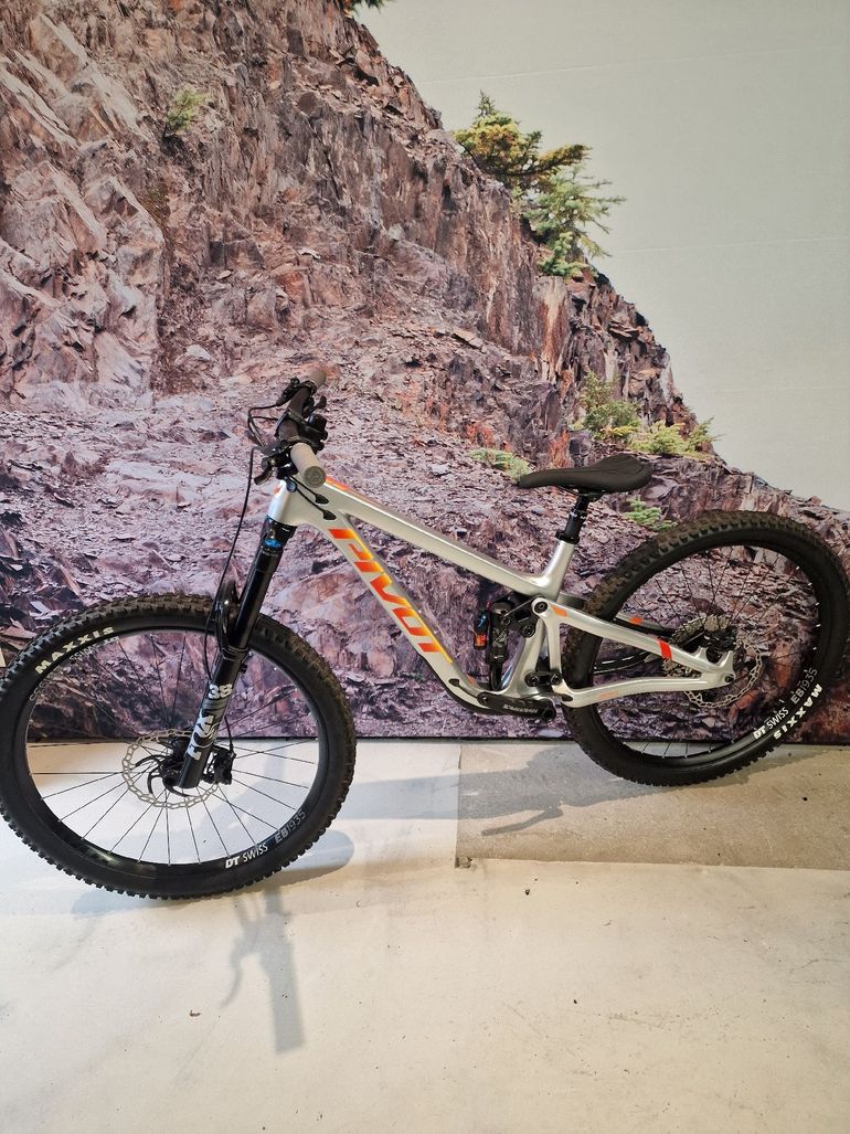 Used Pivot FIREBIRD Ride SLX/XT 2024 2024 Mountainbike, Light Gray, 29 — image 2 of 7