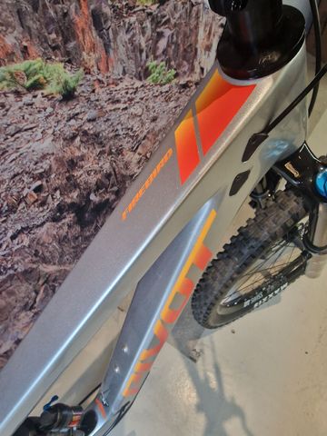 Used Pivot FIREBIRD Ride SLX/XT 2024 2024 Mountainbike, Light Gray, 29 — image 4 of 7