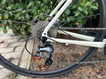 Used Trek Domane AL 4 Gen 4 2024 2024 Road & Gravel