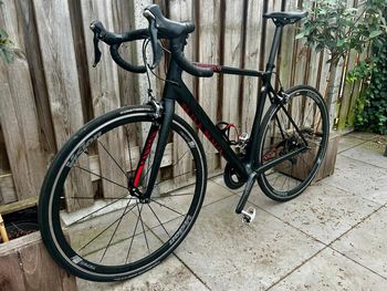Used Canyon Endurace CF 8.0 2019 2019 Road & Gravel, Black — image 2 of 10