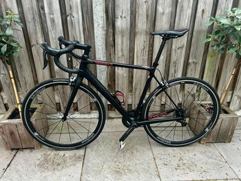 Used Canyon Endurace CF 8.0 2019 2019 Road & Gravel