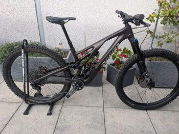 Used Specialized Stump Jumper Evo Comp Carbone 2022 MTB